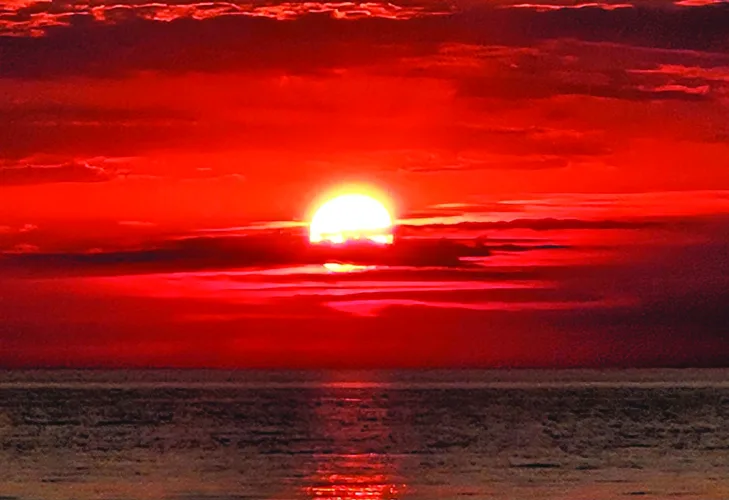 Sailor's delight